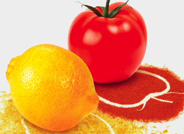 Spray Dried Fruit & Vegetable Powders