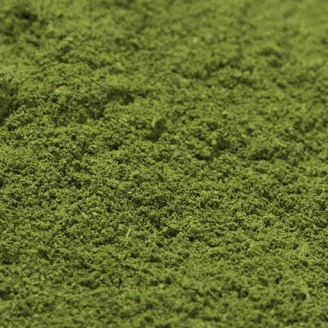 Coriander Leaves Powder