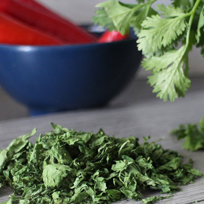 Coriander Leaves