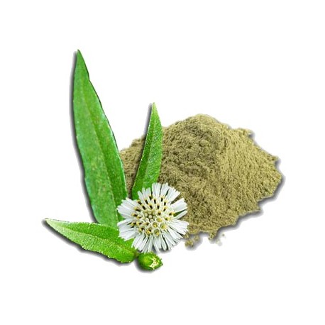 Orgnaic Bhringraj Powder