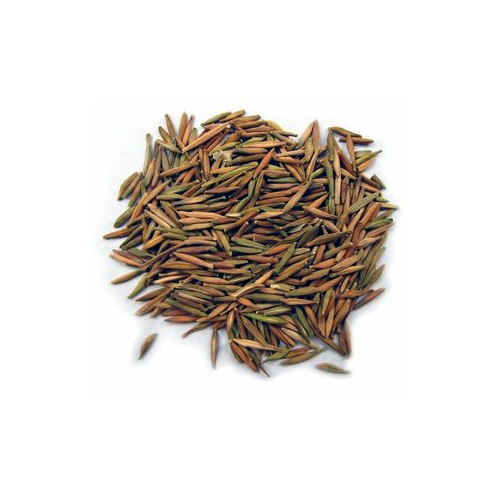 Organic Indrajav Powder (Holarrhena Pubescens)