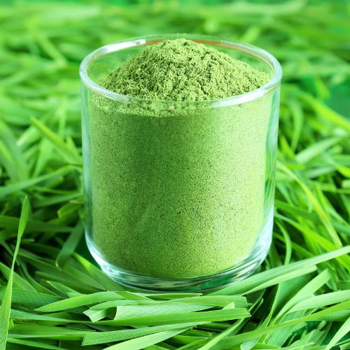 Organic Wheat Grass Powder