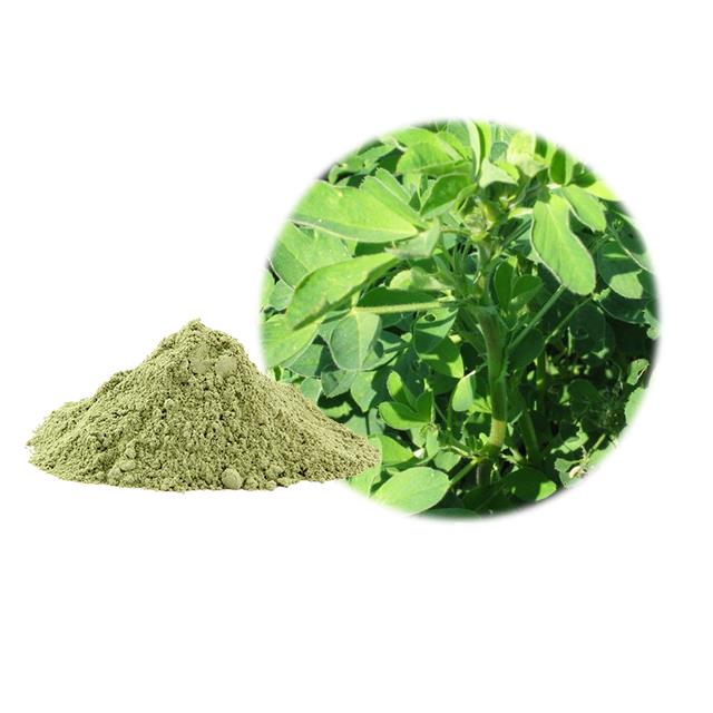 Organic Alfalfa Powder