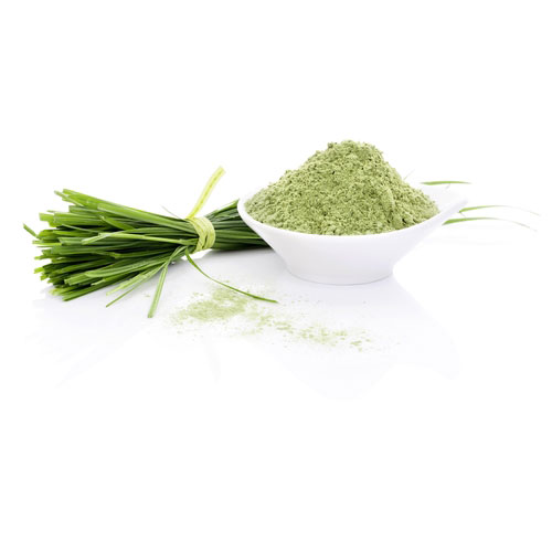 Organic Barley Grass Powder