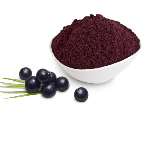 Organic Elderberry Powder