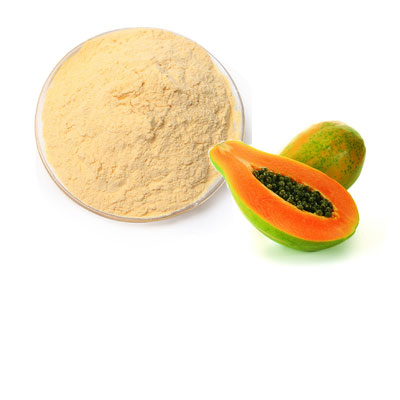 Organic Papaya Powder